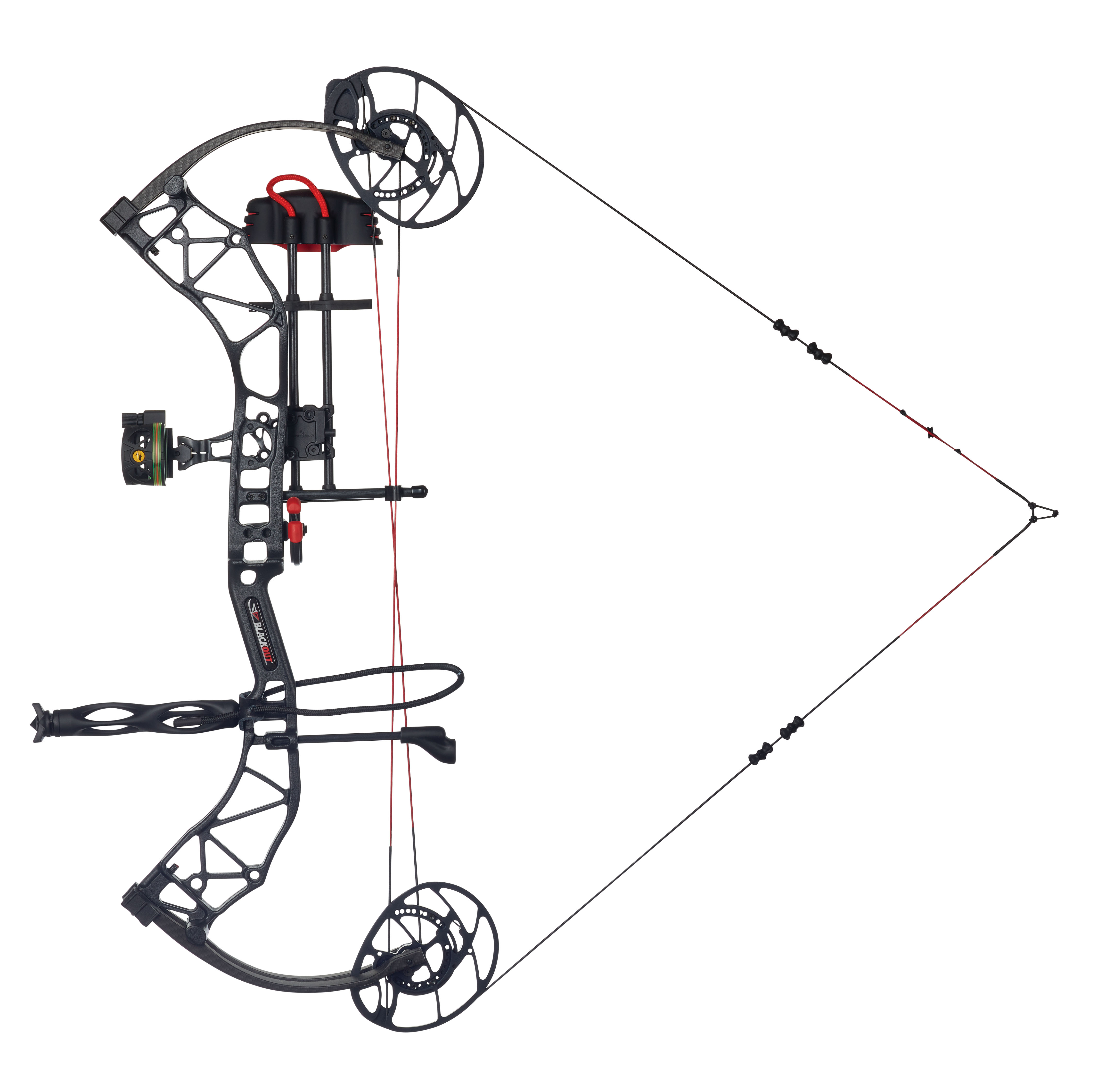 Top Compound Bows 2025 Nissa Anallise